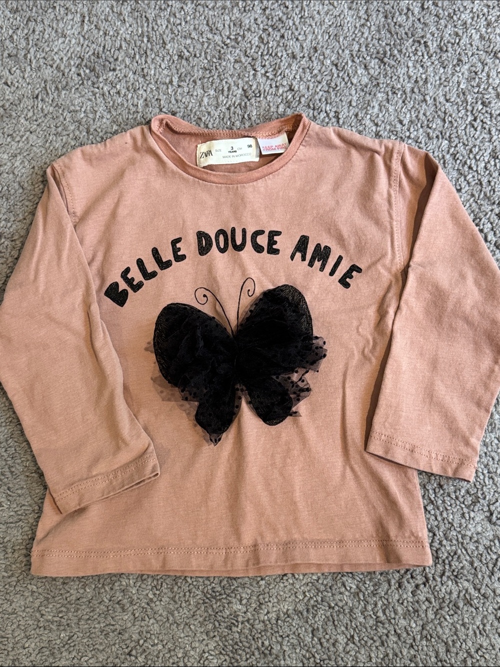 Zara Dusty Rose Long-Sleeve Top with Black Butterfly